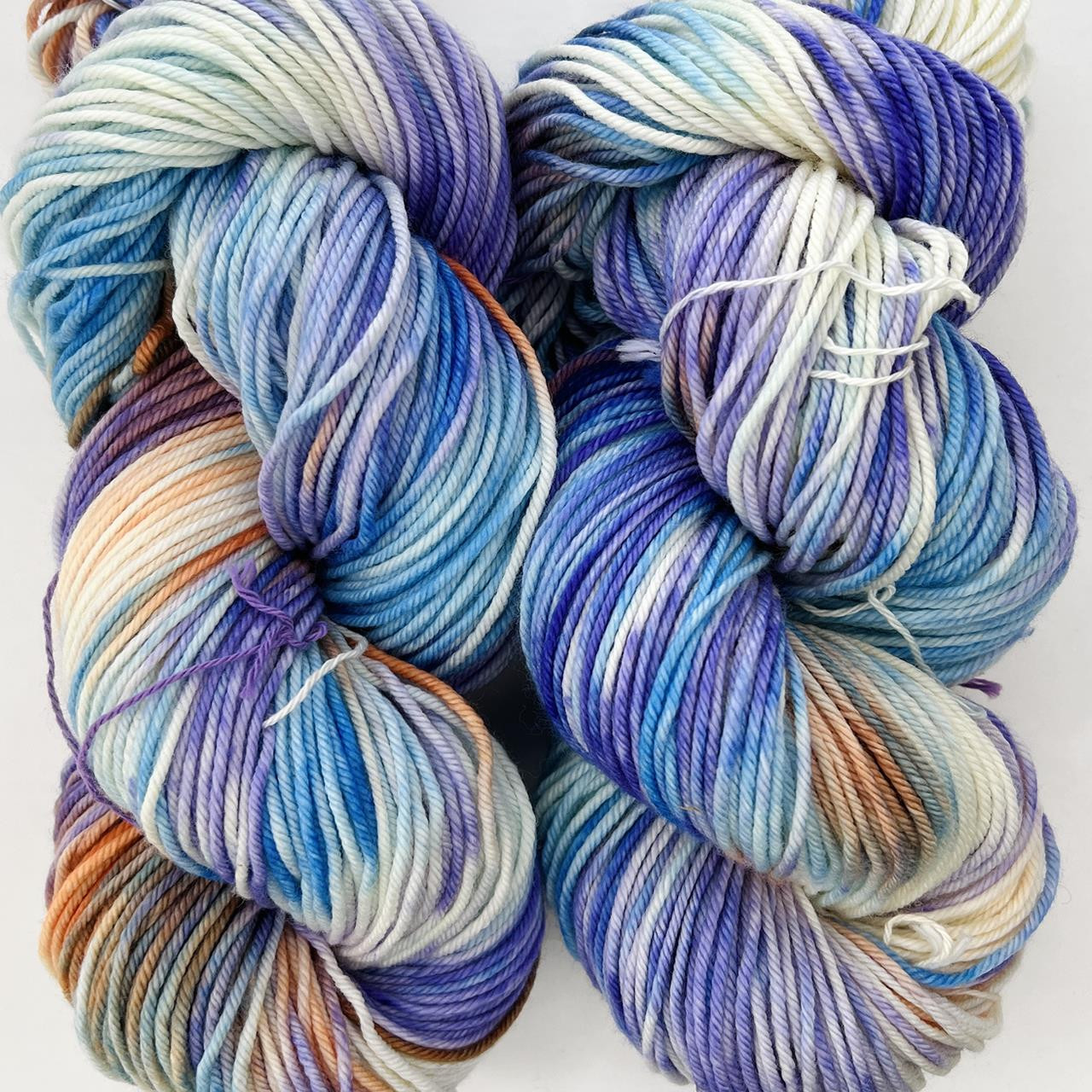 MT Tosh DK Ziggy -