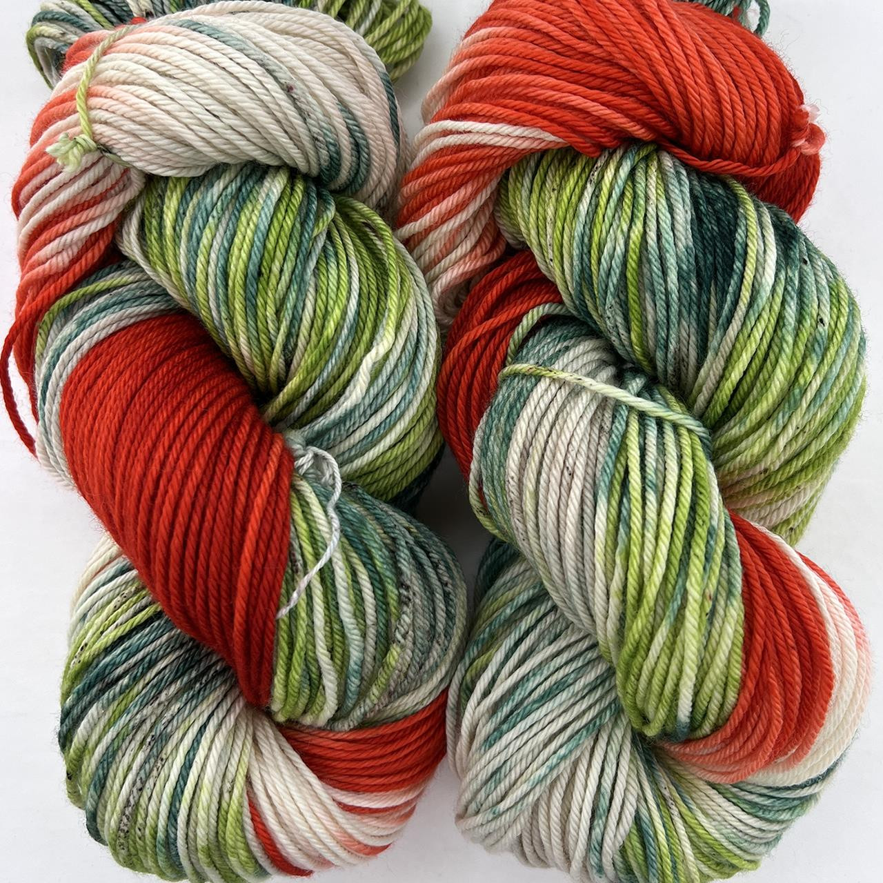 MT Tosh DK Sagebrush Sally -