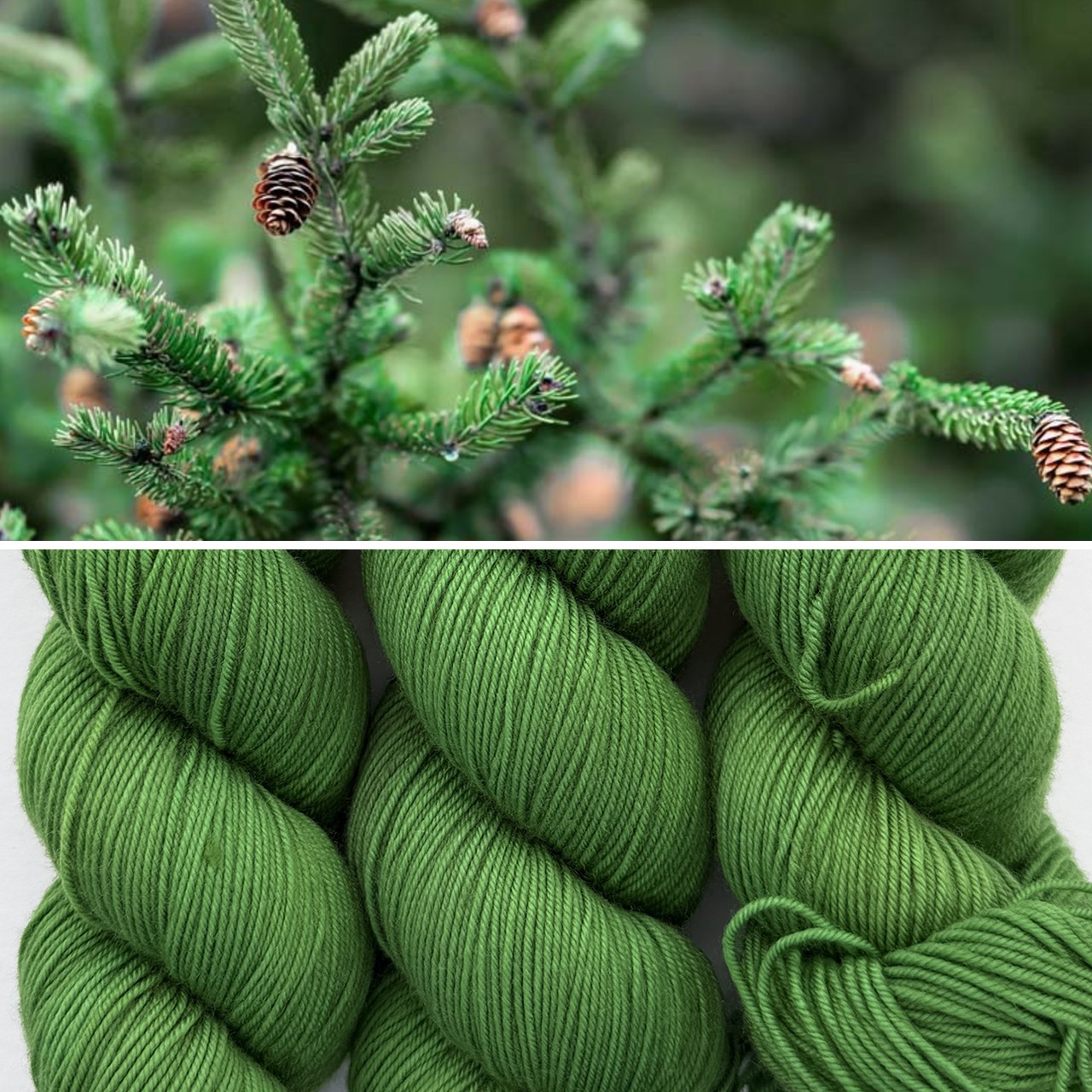 EFA Resilient Sock Bah Humbug -