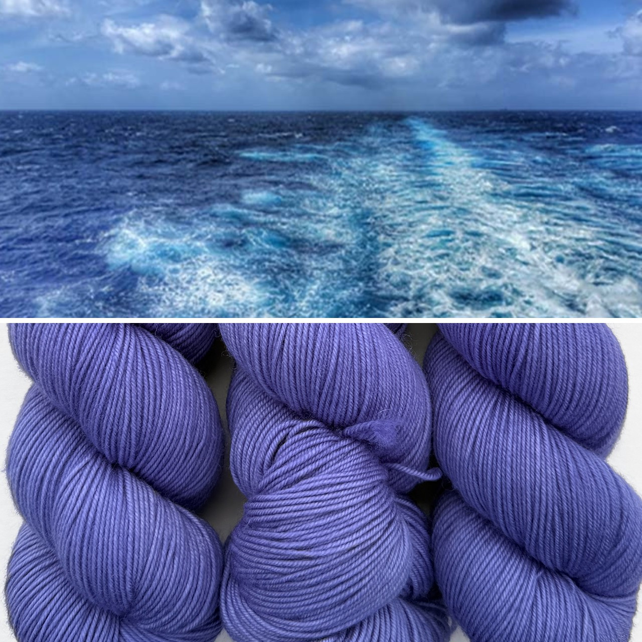 EFA Resilient Sock Lost at Sea -