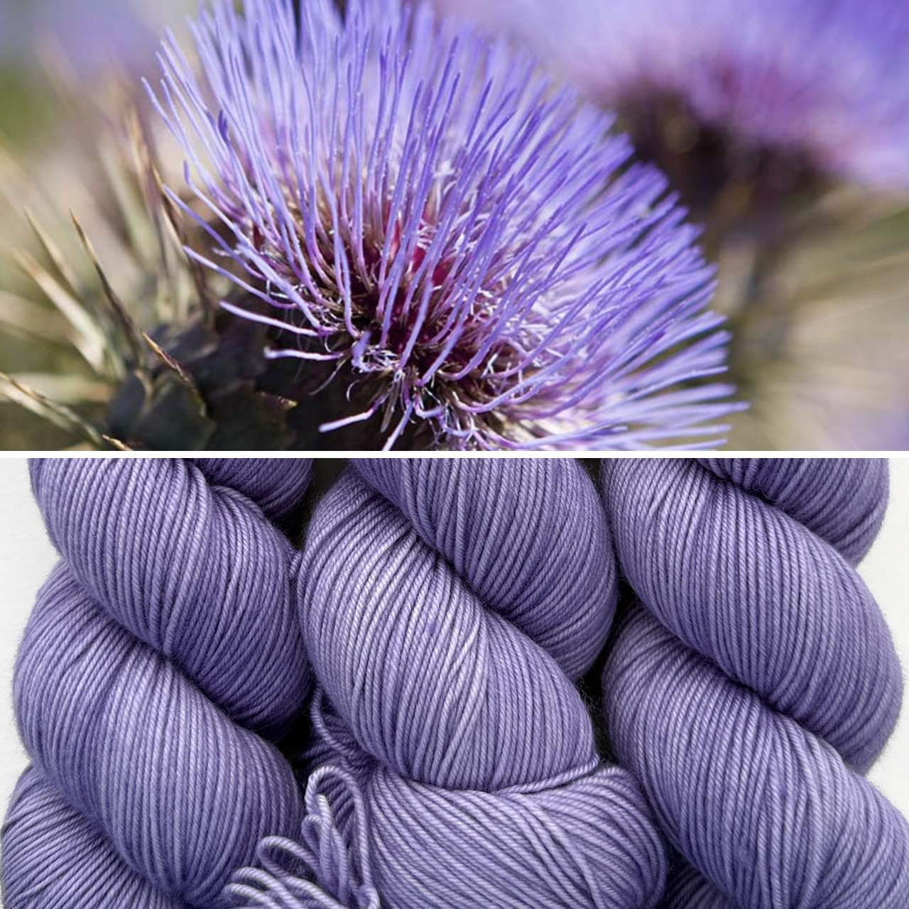 EFA Resilient Sock Soft Thistle -