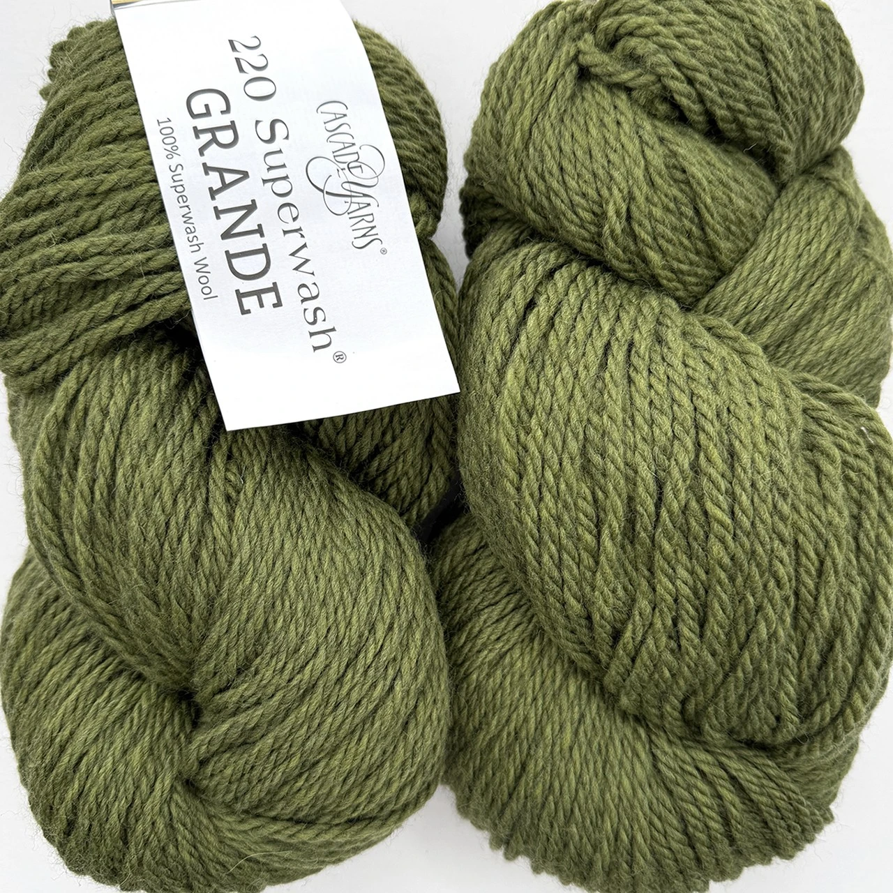 CY 220 SW Grande 1919 Turtle - 886904067635