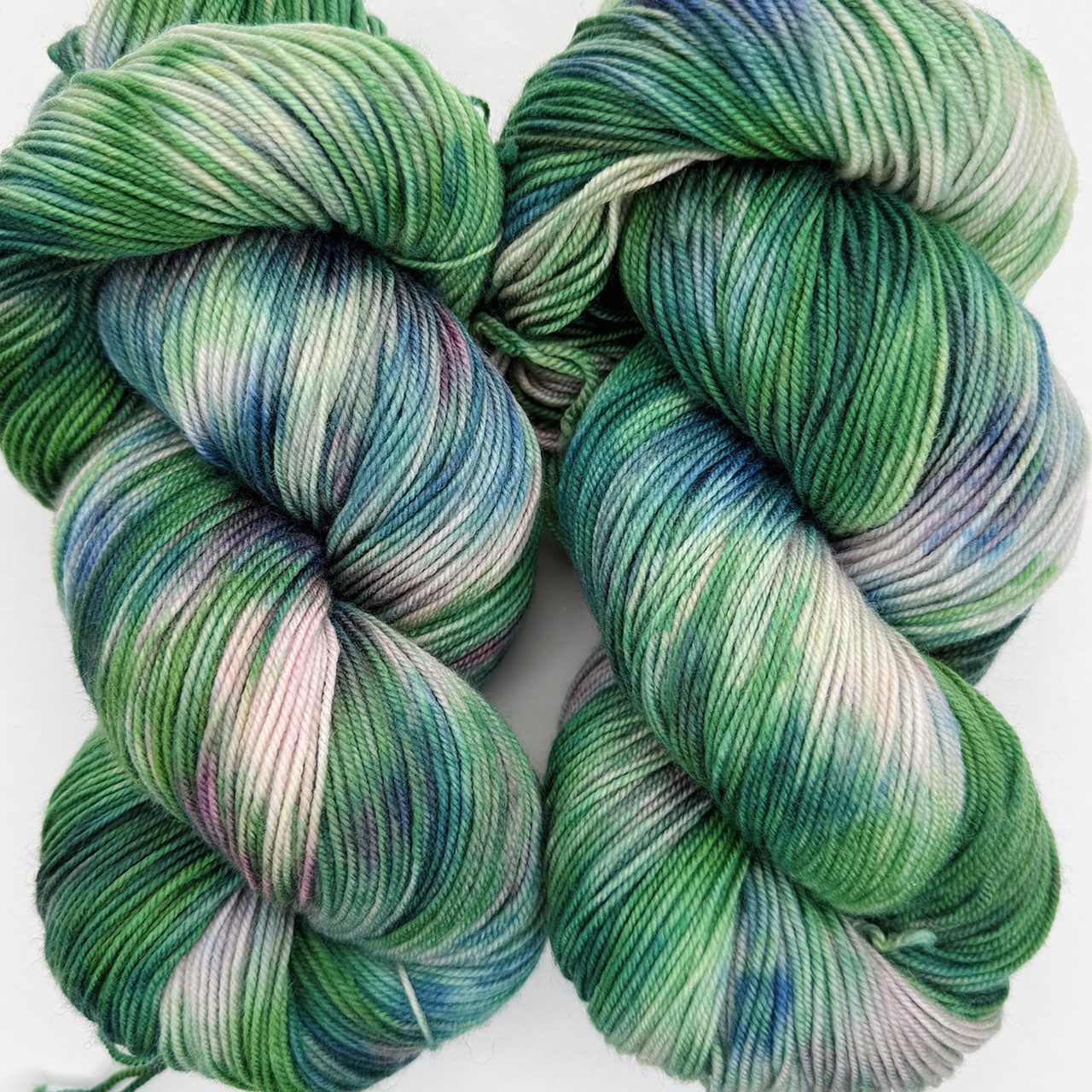WY MA Kraken -