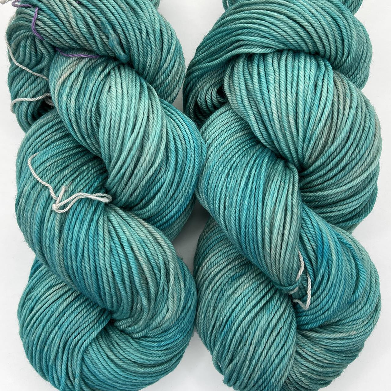 MT Tosh DK Hosta Blue -