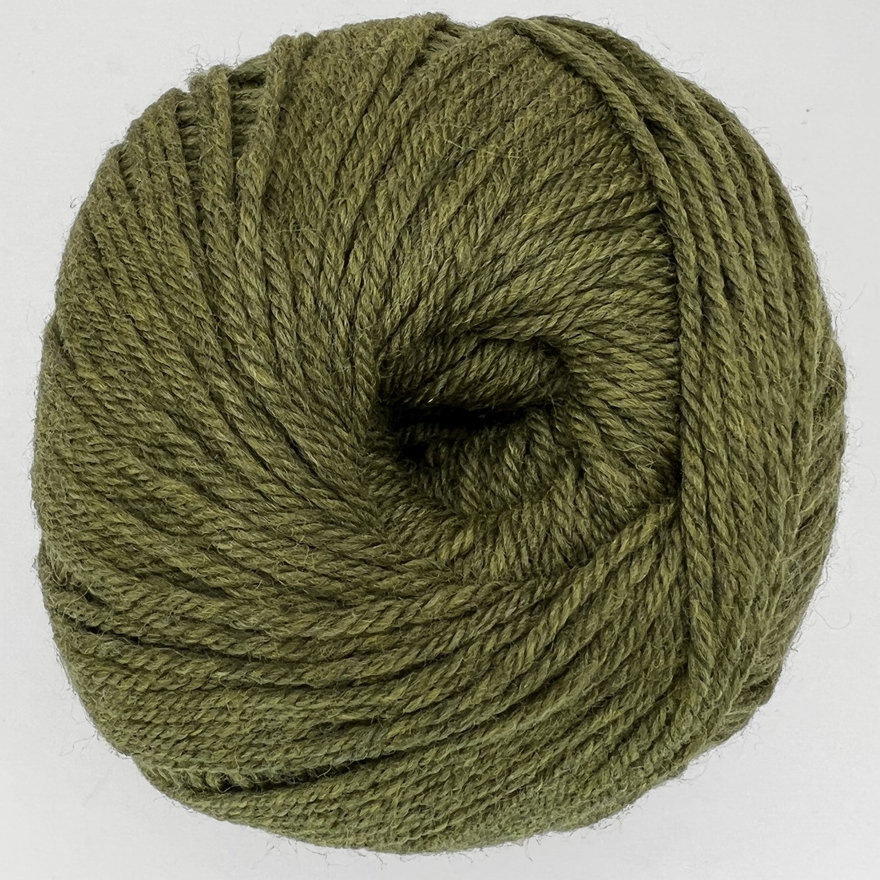 CY 220 SW 1919 Turtle - 886904000106