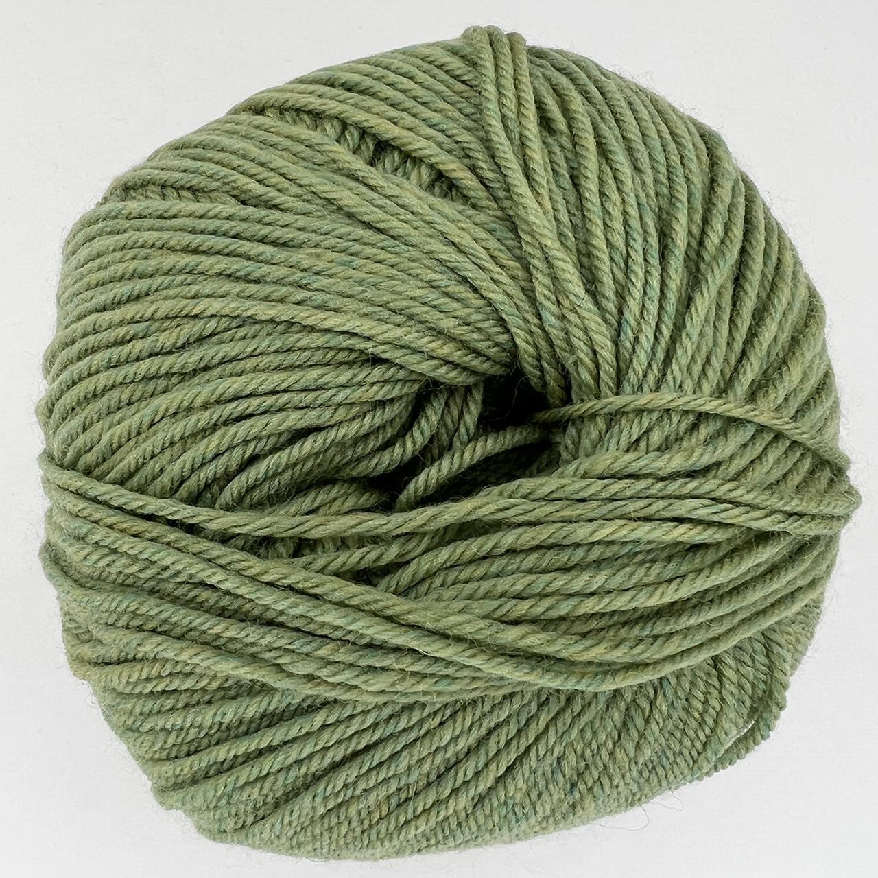 CY 220 SW 905 Celery - 886904001387