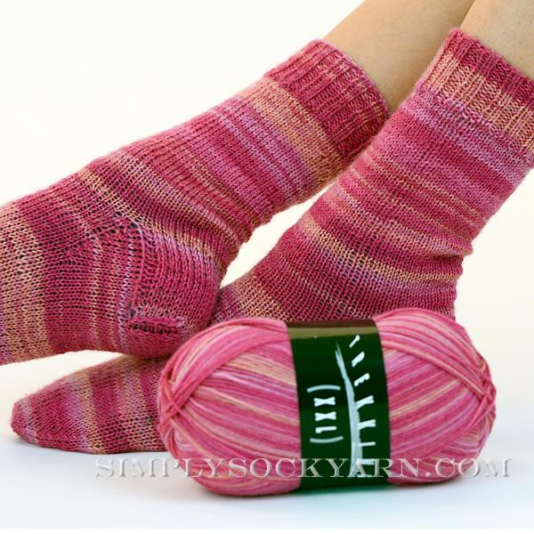 Trekking XXL 579 Simply Socks Yarn Company