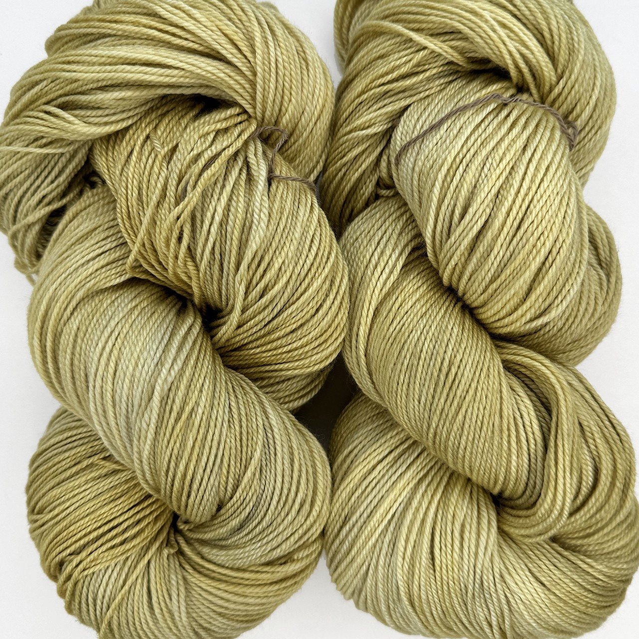 MT Pashmina Winter Wheat -