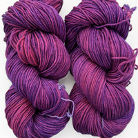 MT Tosh DK Lepidoptra -