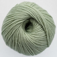 CY 220 SW 250 Laurel Green - 886904046067