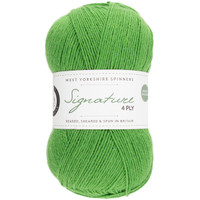 WYS Solid 395 Chocolate Lime - 5053682063950