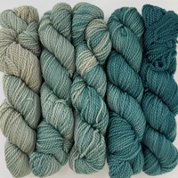 WY 5 Minis Slithy Serpent -