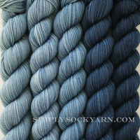 SG Party of 5 Voyage -