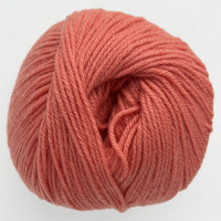 CY 220 SW 287 Deep Sea Coral - 886904056721