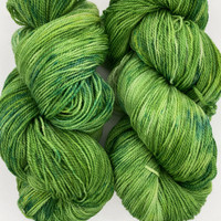 WY CC Phosphorus -