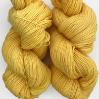 WY CC Globe of Goldfish -