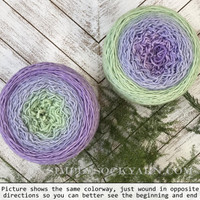 WY Blossoms 08-Hydrangea -