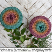 WY Blossoms 20-Euphorbia -