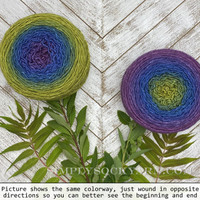 WY Blossoms 32-Anemone -