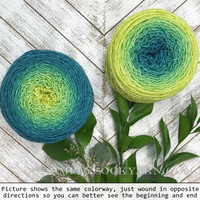 WY Blossoms 31-Heart Leaf Fern -