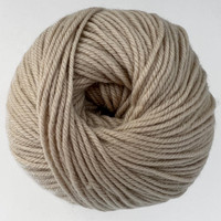 CY 220 SW 349 Irish Cream - 886904016251