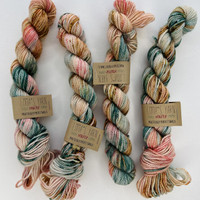 EY Mini No Place Like Home -