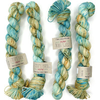 EY Mini Turtle Haven -