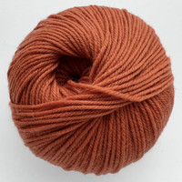 CY 220 SW 366 Pureed Pumpkin - 886904069707