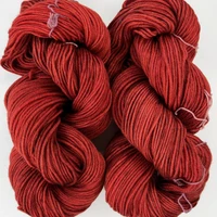 MT Tosh DK Whats Your Poinsetti -
