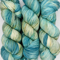 EY HH Cash Turtle Haven -