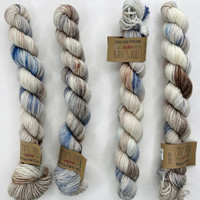 EY Mini Sleeping Bear Dunes -