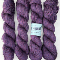 JA Devonia DK Nightshade -