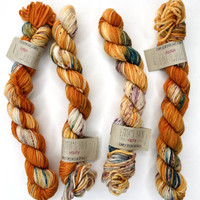 EY DK Mini 10 Questions -