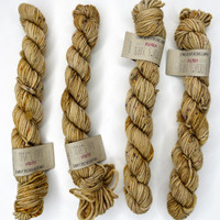 EY DK Mini Bees Knees -