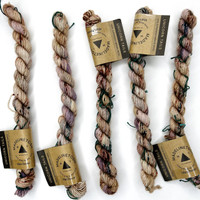 MT TML Mini Mars Rover -