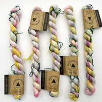 MT TML Mini Texas Tulips -