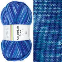 WYS DK Sock 1200 Blues -