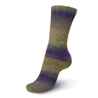 Regia DK Virtuoso Color 3082 -