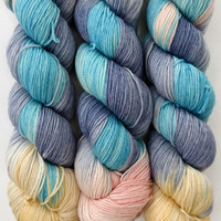 DIC SC Shopkeeper's Choice -