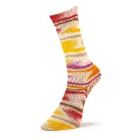 LDN Summer Sock Fancy 120 - 806812048410