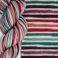 B&H Sockrates Bring Back Barb -
