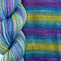B&H Sockrates Peacock -