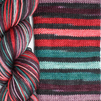 B&H Sockrates RIP Barb -