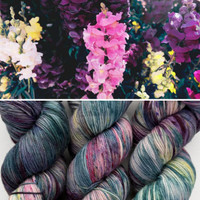 EFA Resilient Sock Snapdragon -