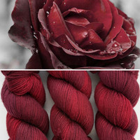 EFA Sincere Sock Red Velvet -