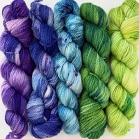 WY 5 Minis Meet in the Middle -