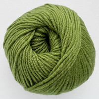 CY 220 SW 841 Moss - 886904000816