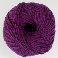 CY 220 SW 880 Marionberry - 886904001165