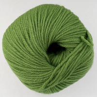 CY 220 SW 802 Green Apple - 886904000472