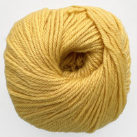 CY 220 SW 821 Daffodil - 886904000656